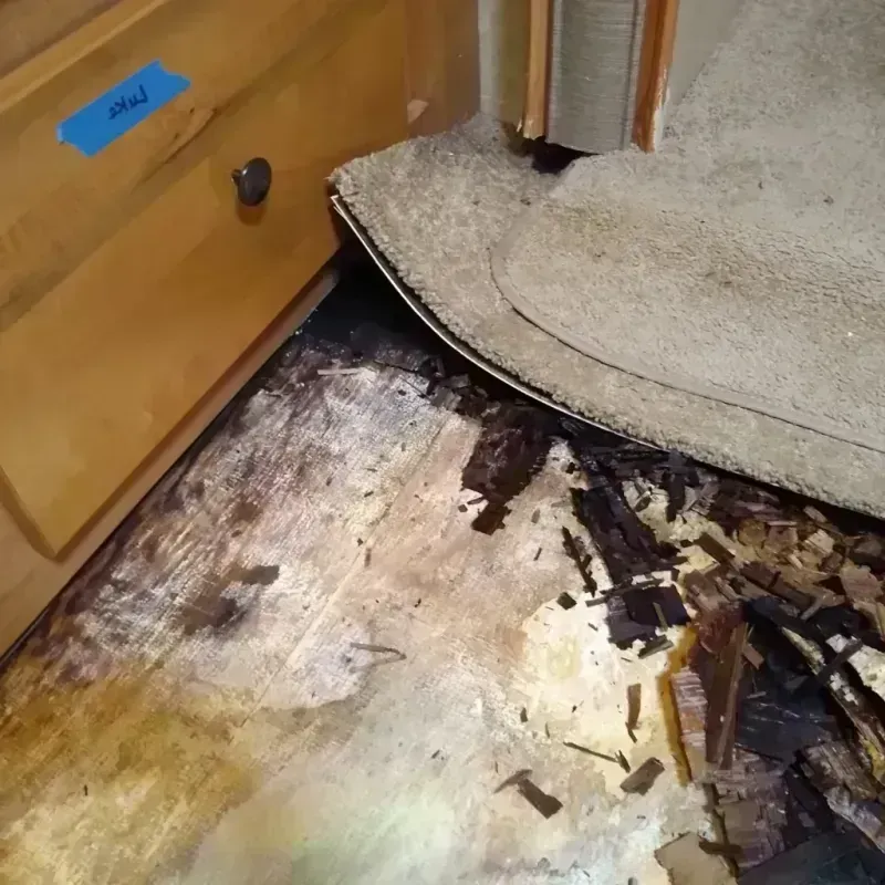 Wood Floor Water Damage in Sioux County, IA